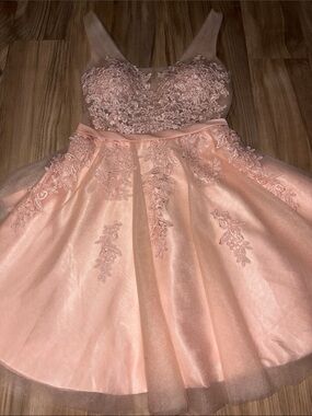 Source Unknown Peach Lace Appliqué Tulle Party Dress for Kids